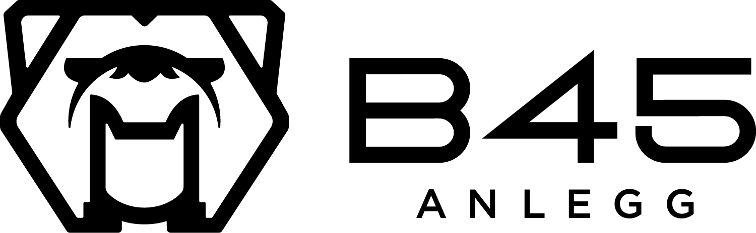 Logo | B45 AS